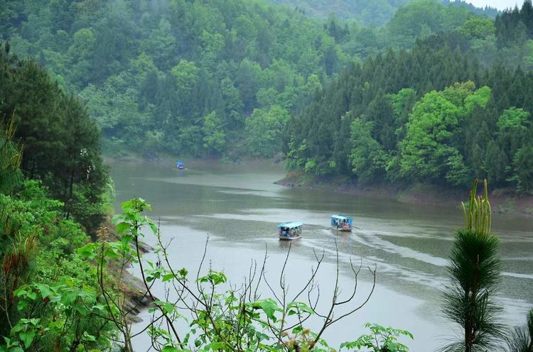 1682324841369567.jpg 1.jpg