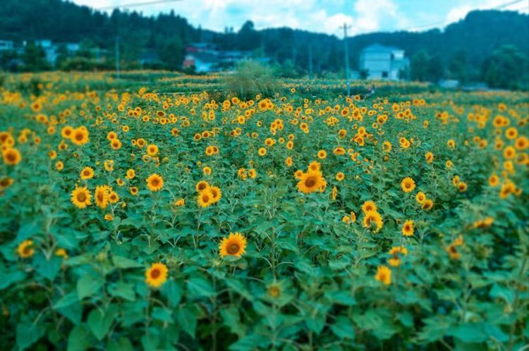 1682324849416625.jpg 2.jpg