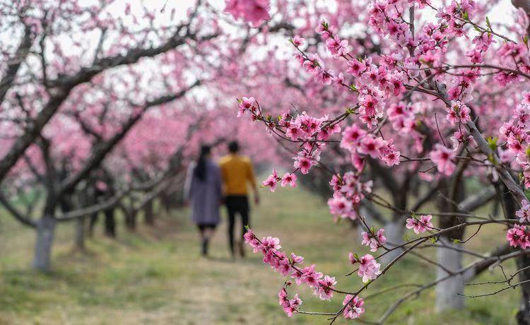 1682324878751678.jpg 7.jpg