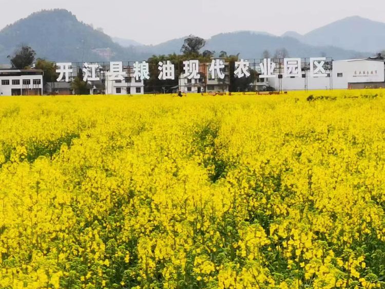 1682324889682983.jpg 4.jpg