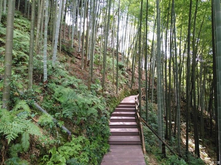 1682325041871978.jpg 13.jpg